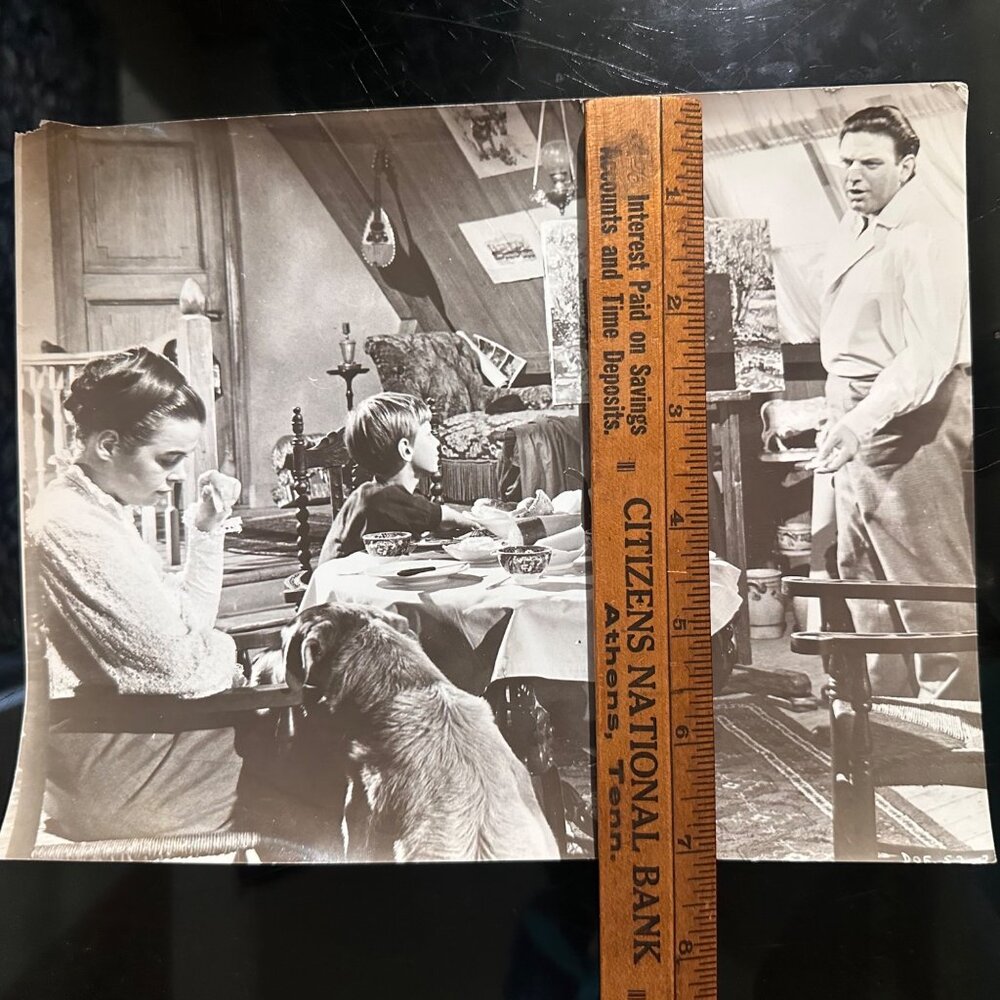 Vintage 7x9 Photo From "A Dog Of Flanders" Movie Scene - Picture 4 of 13